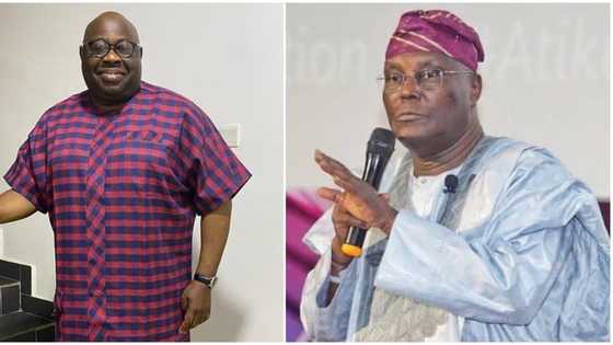 PDP chieftain Dele Momodu reveals his plans for Atiku hours after Tinubu’s inauguration