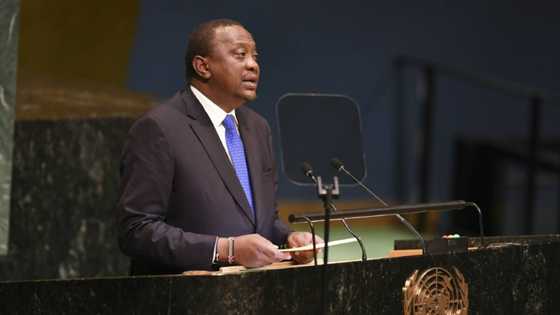 Cool head in a rough region, Kenya faces test in election
