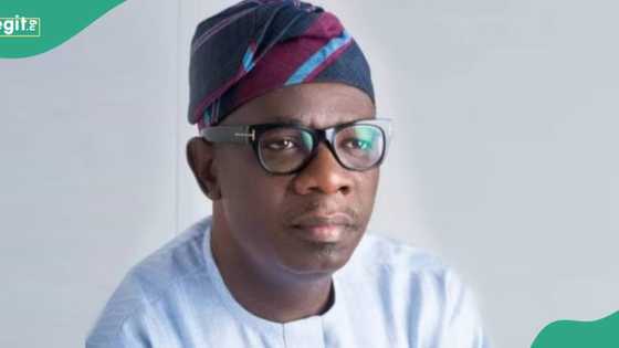 Ondo governorship election: Why PDP may defeat APC on Saturday