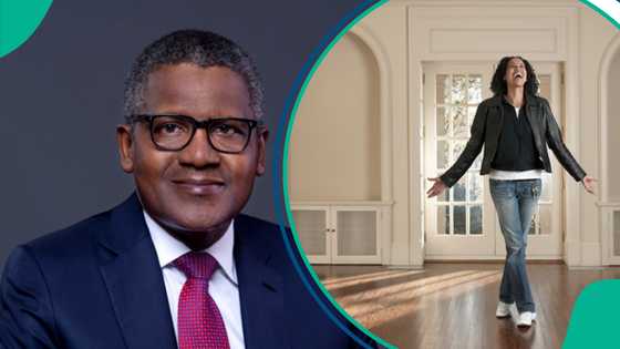 Dangote gives solution as FG plans to build Bamboo houses for Nigerians