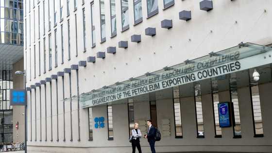 OPEC+ likely to maintain current output levels