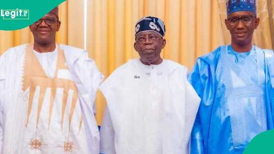 CSOs Praises President Tinubu, minister Matawalle,NSA ,security forces for 90% drop in insecurity