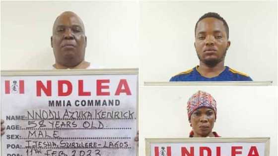 NDLEA Ta Cafke Babban Faston Coci Kan Yunkurin Safarar Miyagun Kwayoyi Zuwa Dubai Cikin Jarkokin Manja