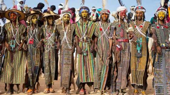 Fulani sunyi wa Buhari alkawarin kuri'u har 11m a makon gobe