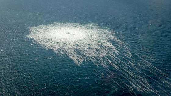 Washington dismisses Moscow's finger of blame for gas leaks