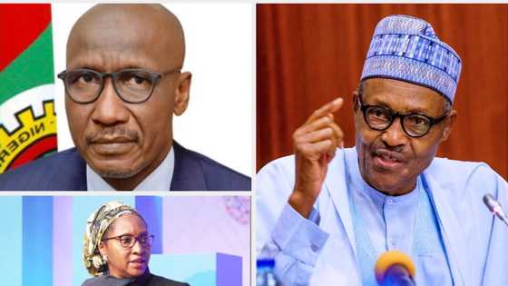 EU ban on Russian oil: Data shows Nigerian economy is more likely to suffer than gain as oil prices soar