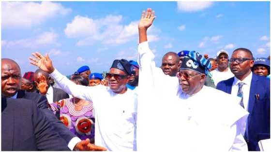 "I am the president-elect, your president": Tinubu refers Wike to Sanwo-Olu over banter
