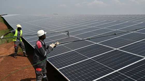 Solar investment outstrips all other power forms: IEA