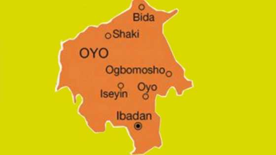 Ganin saukar bakon jirgin sama: Jami'an tsaro sun bincike dajin Ogbomoso ciki da waje