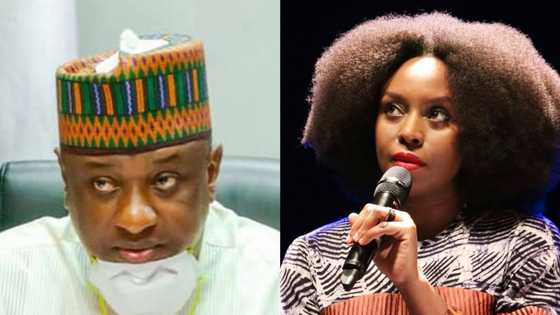 "Tantrums of a Trump reincarnate in Nigeria": Keyamo blasts Chimamanda over letter to Biden