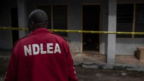 No escape route: Drama as NDLEA operatives storm church to arrest wanted drug dealer