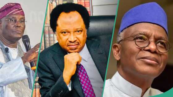 Shehu Sani reacts to report on Nigerian politicians who own properties in Dubai