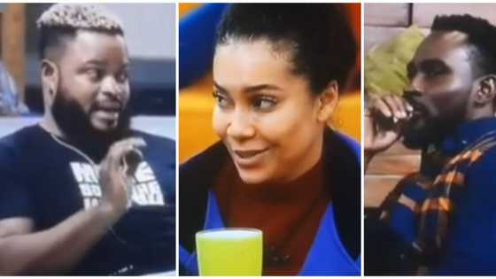 BBNaija: Maria accuses Whitemoney of dishonesty after he claimed to know she was a wild card