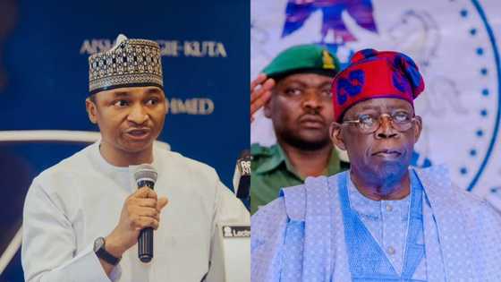 Tribunal judgment: "Tinubu will continue to defeat Atiku, Obi, others", Hamzat Lawal gives reason