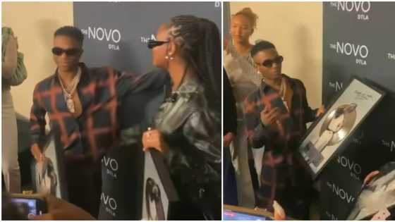 This is personal to me: Wizkid tells Tems as Essence hits platinum in the US, singers receive plaques