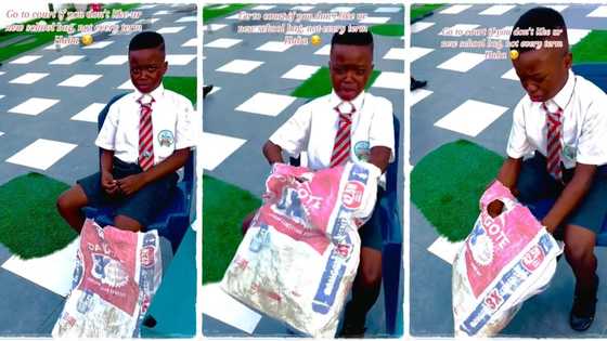 "Learn to keep your bag well": Mother gives her son Dangote cement sack to use as school bag, video goes viral