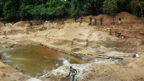 C.Africa urges lifting of embargo on diamond exports