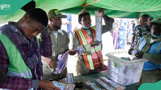 Explainer: What do you need to vote in Ondo governorship election