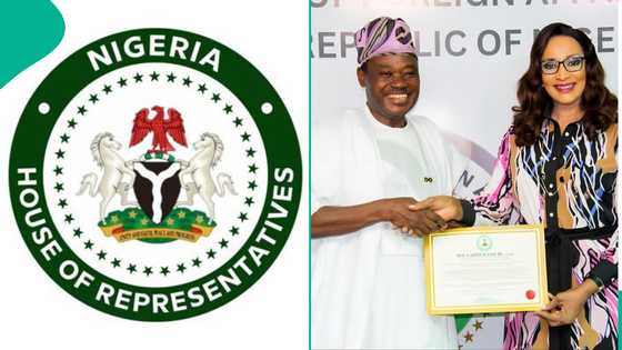 Tinubu’s ambassadorial postings: Reps deputy spokesperson says Jimoh Ibrahim is a global asset to UN