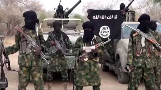 Fadar gwamnati ta yi karin haske kan jita-jitar daukan ƴan Boko Haram aikin soja