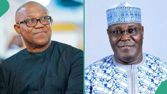 Ex-SGF explains how ADC plans to choose its 2027 flagbearer among top opposition leaders