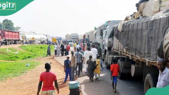 Bayan Dangote, jama'a sun tare motar BUA, an wawushe kayan abinci ana tsakiyar yunwa