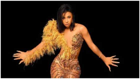 Fierce and fabulous: BBNaija star Liquorose marks 27th birthday in jaw-dropping ensemble
