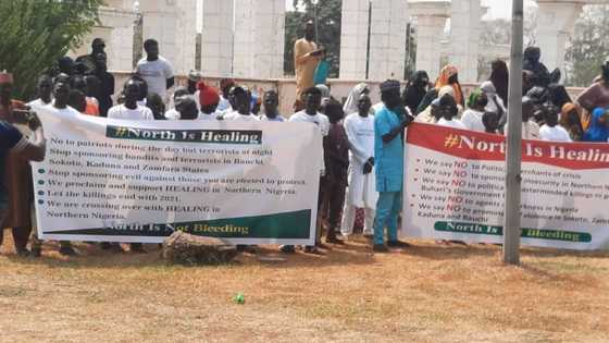 Northern activists rally for peace, take protest to Presidential Villa