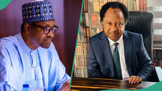 Buhari’s death: Shehu Sani warns Nigerians, “Speak not ill of the dead”