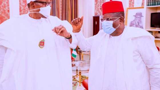 Bayan sanar da Buhari, Gwamnan APC ya bayyana dalilin da yasa zai gogayya da Tinubu a 2023