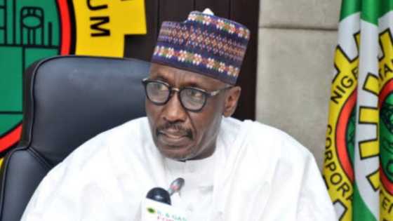 NNPC CEO Mele Kyari says private companies can start fuel import from June