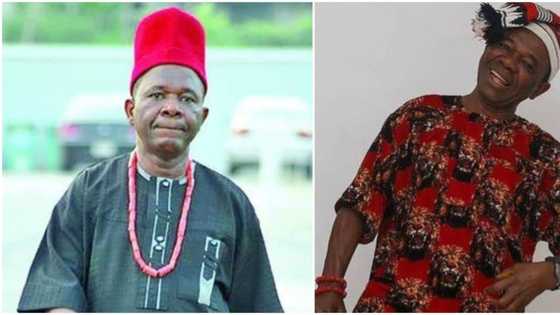 Actor Chiwetalu Agu allegedly beaten by soldiers for wearing controversial flag outfit in Onitsha