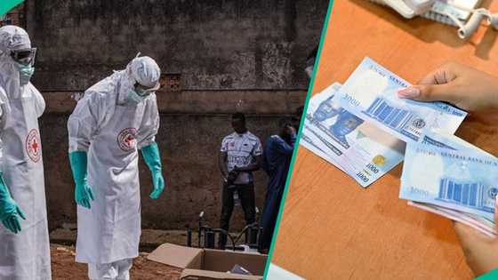 Ebola: FG lists 4 steps to qualify for N100,000 weekly payment