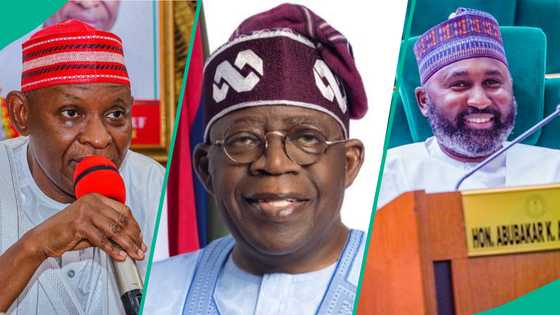 Kano group endorses Tinubu, Abba Yusuf, Kabir Bichi for 2027, gives reasons