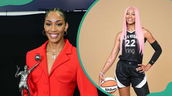 A look at A'ja wilson's boyfriend, Bam Adebayo, and her previous relationships
