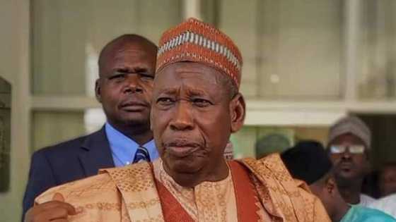 Abba Kyari: Governor Ganduje opens up nearly 24 hours after sacking his commissioner over negative comment