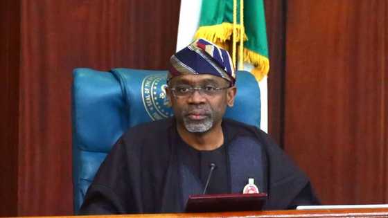 UPDATED: Speaker Gbajabiamila suspends police aide who shot vendor in Abuja