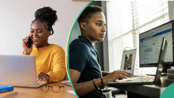Full list of 5 best work-from-anywhere jobs in 2026 that pay up to $200,000