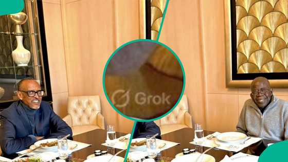 Ana ta tambayoyi bayan hango tambarin Grok a hoton Tinubu a Faransa