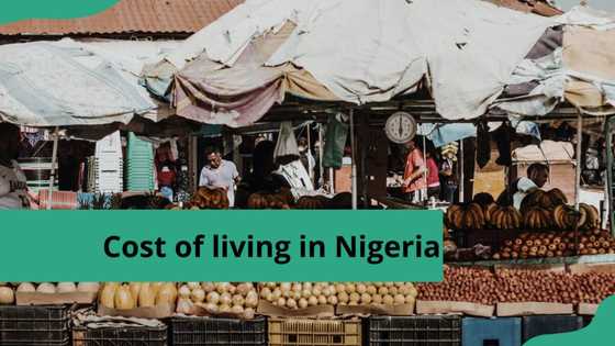 What is the average cost of living in Nigeria? Compare the stats now