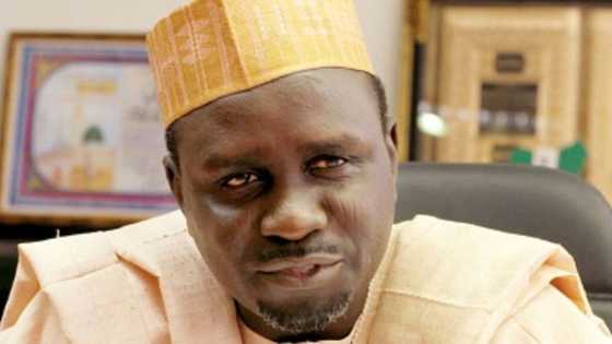 2023: Senator Shekarau advocates power shift to southern Nigeria