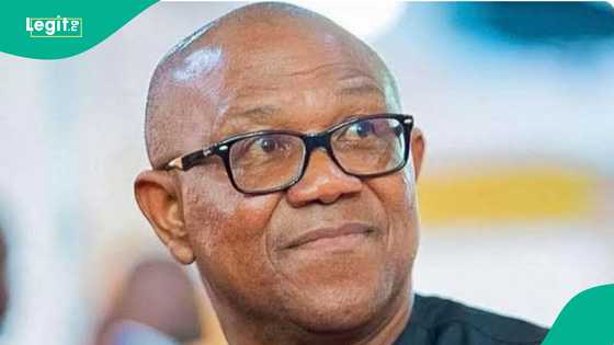 Peter Obi ya fadi yanayin da zai sa ya shiga daji ceto daliban da aka sace