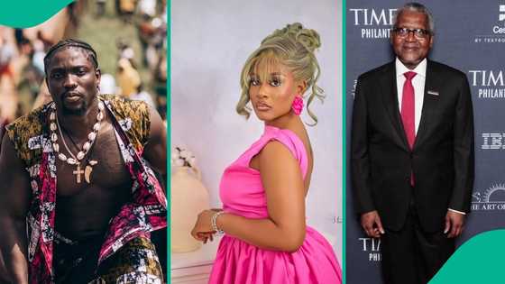 Dangote: Verydarkman claps back at Phyna, tells his side of story: "She is greedy"