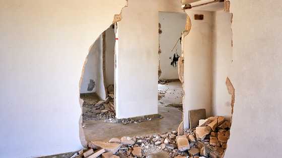 My brother-in-law wrecked our house while we were away — Then karma beat us to it
