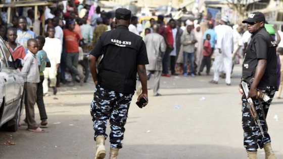 What SARS did to Boko Haram terrorists in Borno