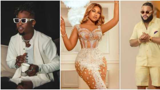 Level don change: 6 BBNaija stars who now lead classy lives after participating in reality show