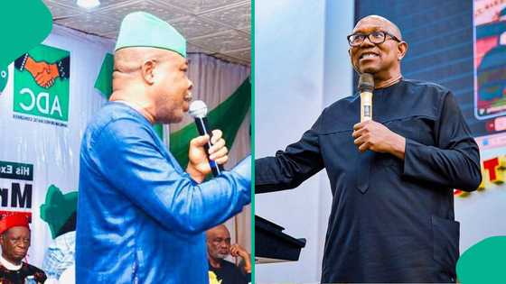 Former Imo governor Ihedioha takes firm decision on party allegiance as “brother” Peter Obi joins NDC
