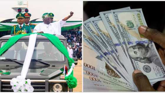 Naira appreciates against US dollar at black market as Tinubu plans house cleaning at CBN