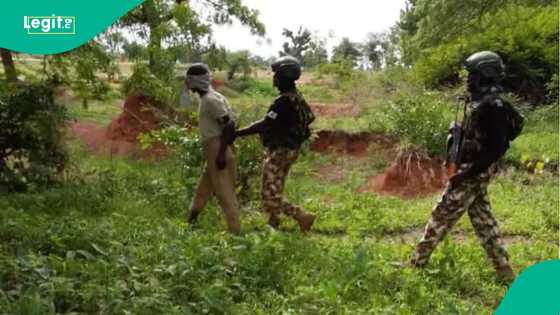 Sojoji sun yi babban kamu a Borno, sun cafke ɗan kasar waje dake tallafawa ISWAP