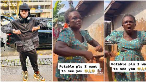 "They lookalike": Netizens react as Mama Portable emerges online, raises her shoulders like the Zazu singer